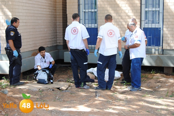 jotha dead yaffa 701 (1).JPG